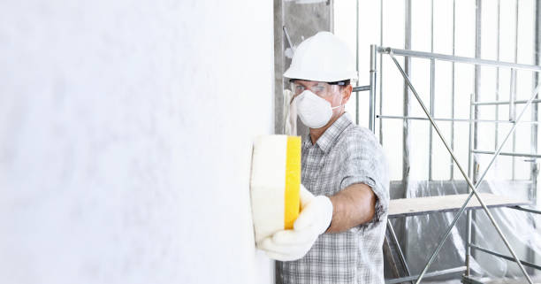 Best Mold Prevention Services in Lakeville, MN