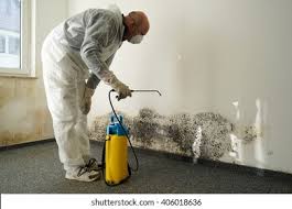  Lakeville, MN Mold Removal Pros